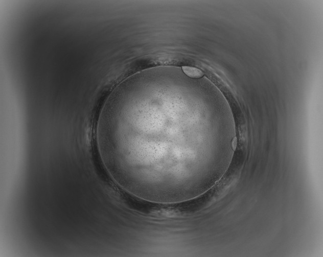 X0000101960503200807251157