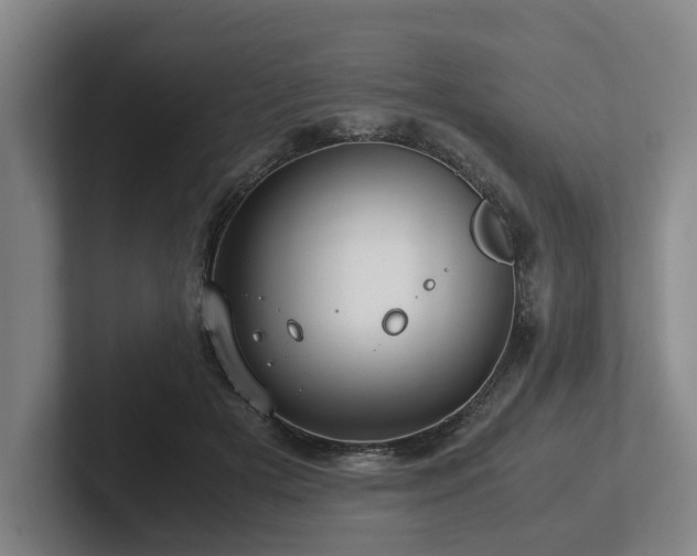 X0000101960505200807251157