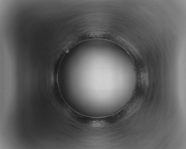 X0000101960508200807251157