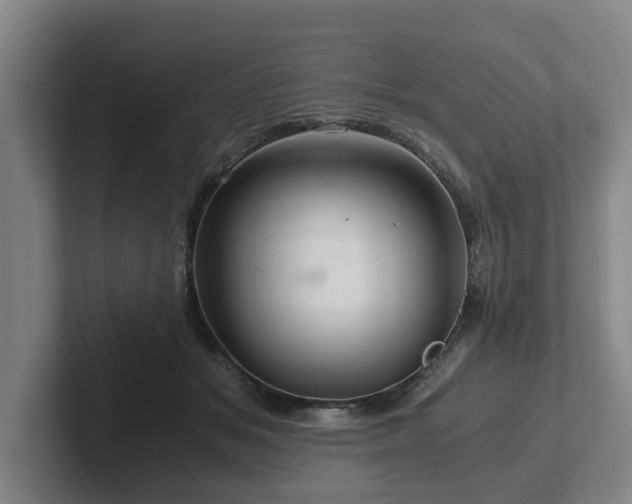 X0000101960509200807251157