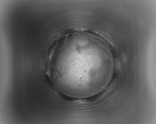 X0000101960511200807251157