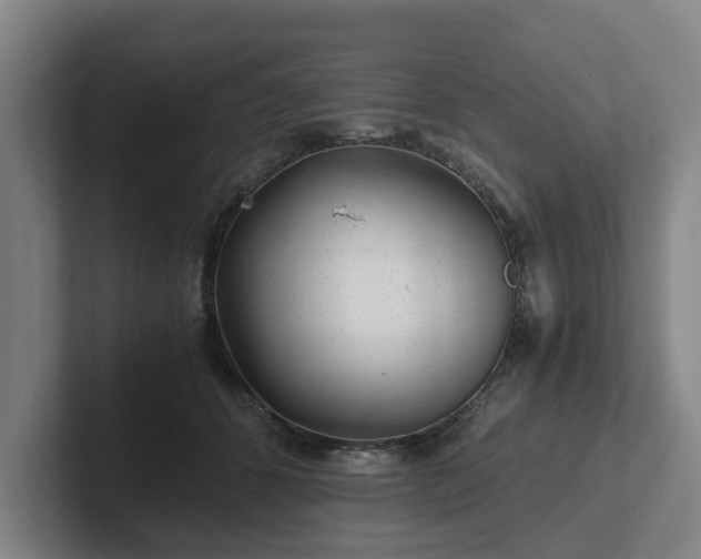 X0000101960512200807251157