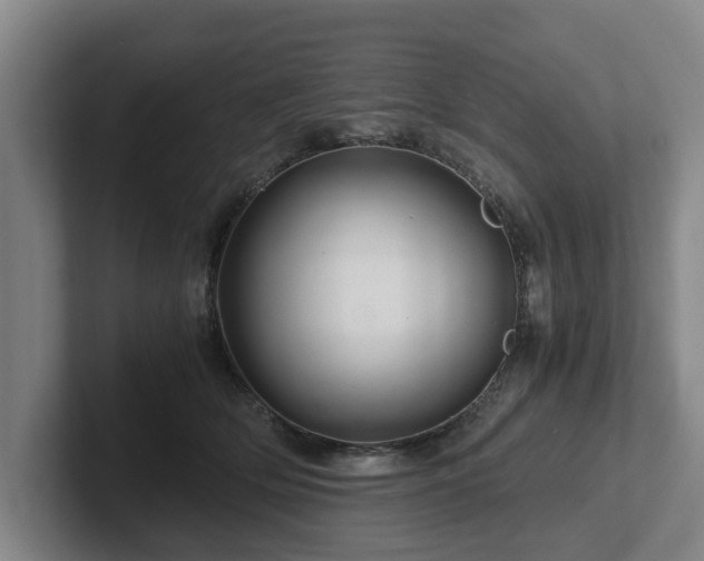 X0000101960514200807251157