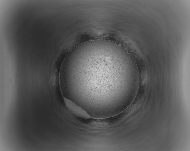 X0000101960515200807251157