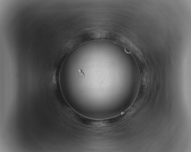 X0000101960516200807251157