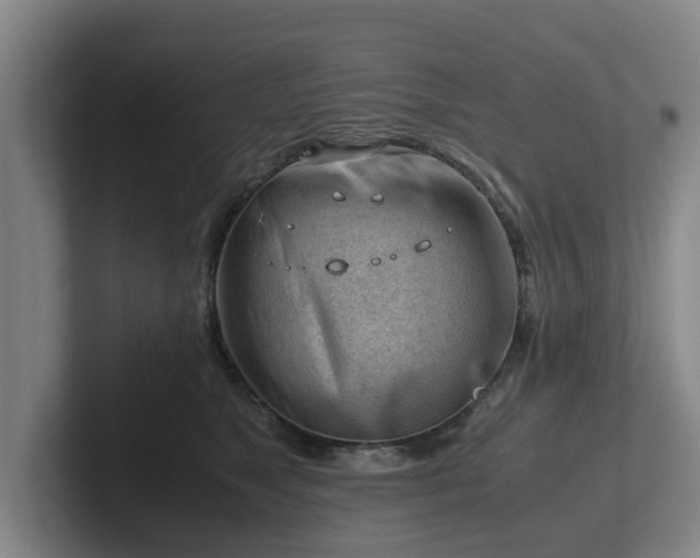 X0000101960517200807251157