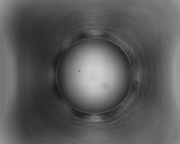 X0000101960518200807251157