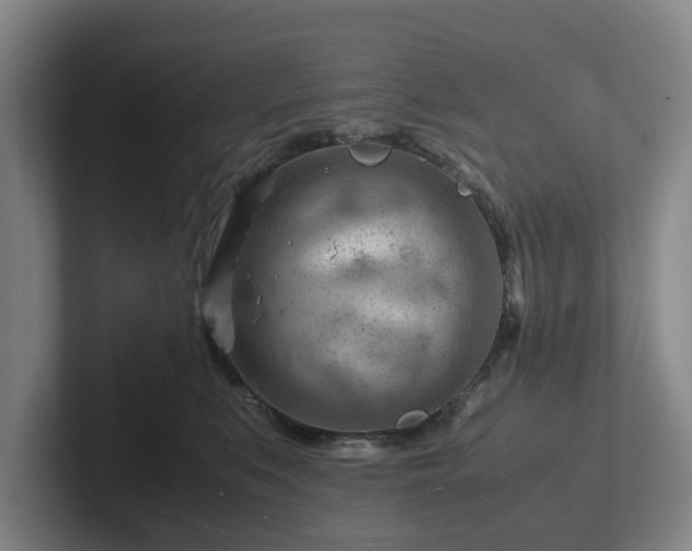 X0000101960519200807251157