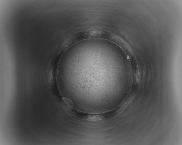 X0000101960520200807251157