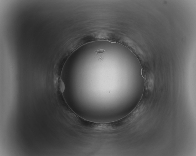 X0000101960521200807251157