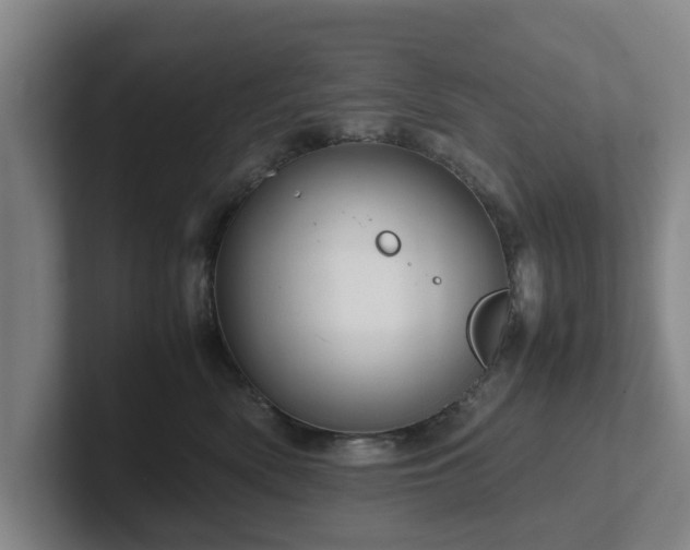 X0000101960522200807251157