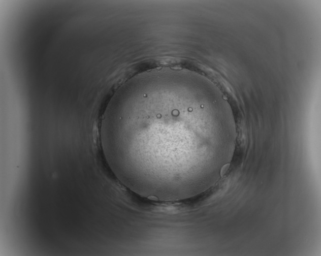 X0000101960523200807251157