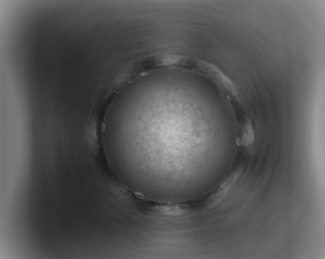 X0000101960524200807251157