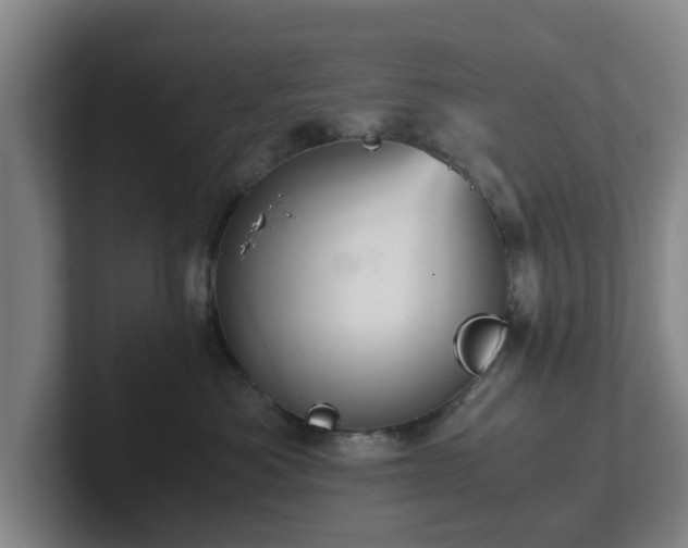 X0000101960525200807251157