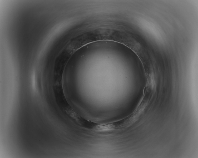 X0000101960526200807251157