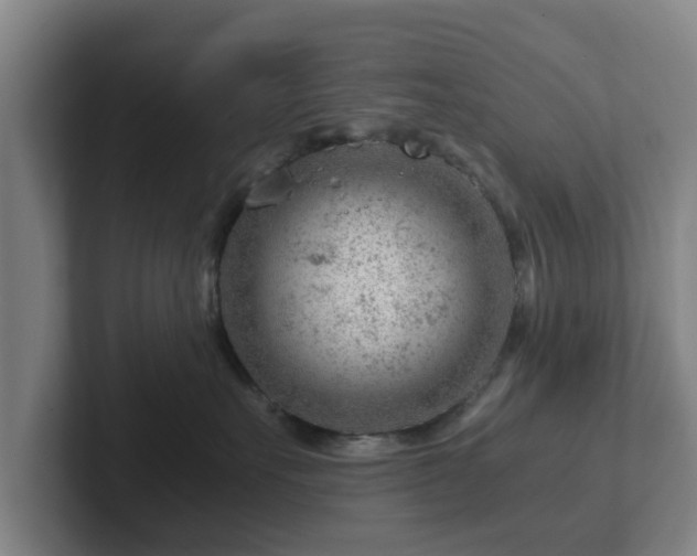 X0000101960527200807251157