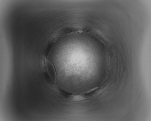 X0000101960528200807251157