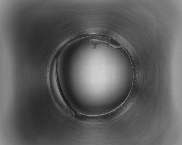 X0000101960530200807251156