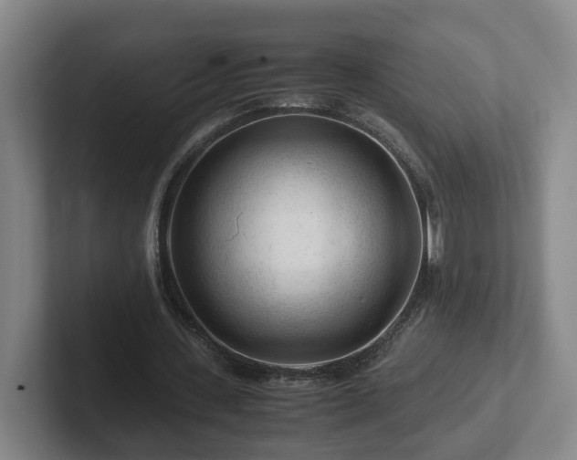 X0000101960531200807251156