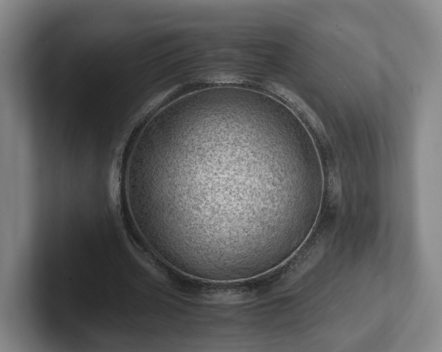 X0000101960533200807251156