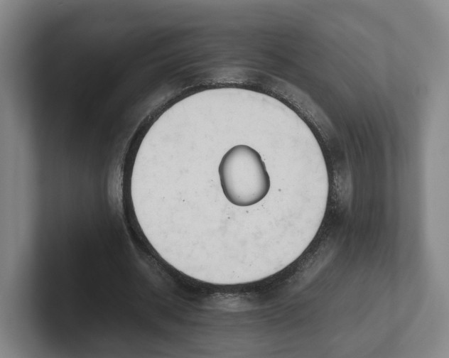 X0000101960534200807251156