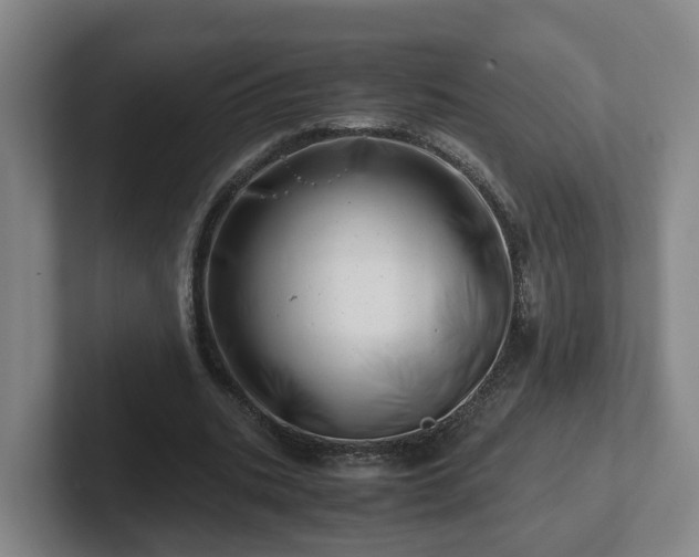 X0000101960535200807251156