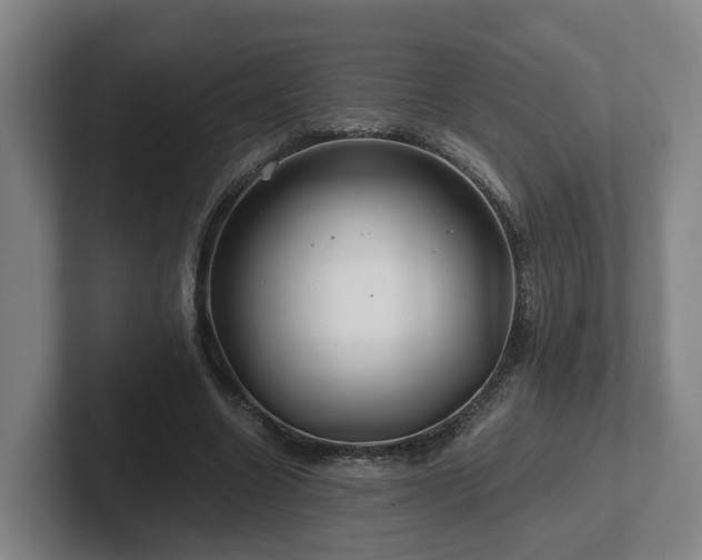 X0000101960538200807251156