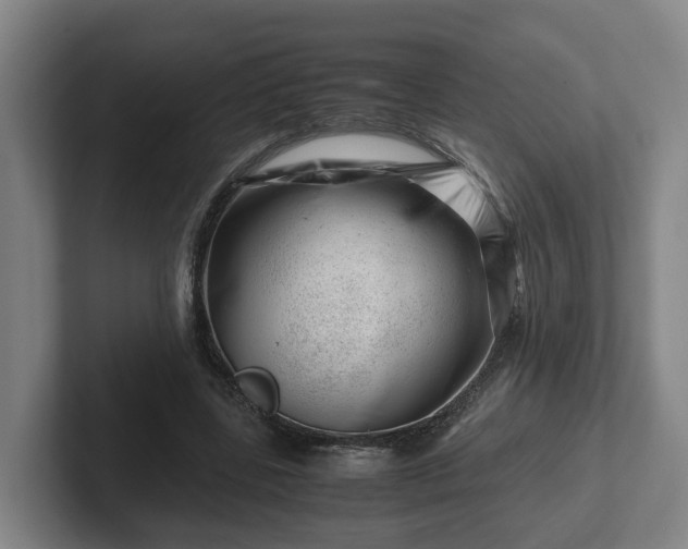 X0000101960539200807251156