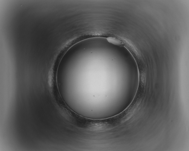 X0000101960540200807251156