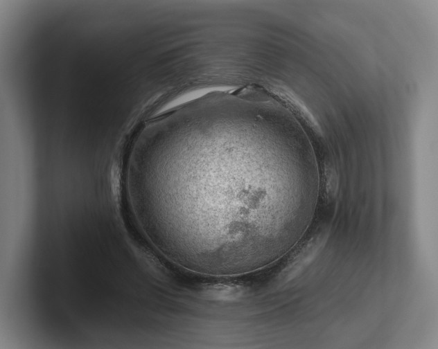 X0000101960542200807251156