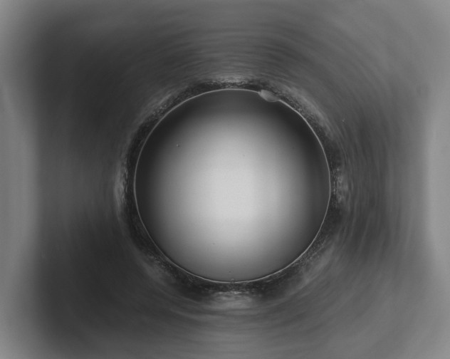 X0000101960544200807251156