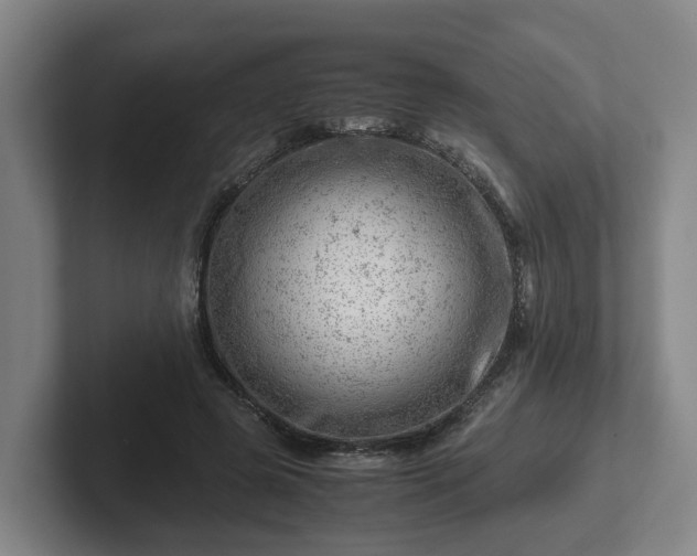 X0000101960545200807251156