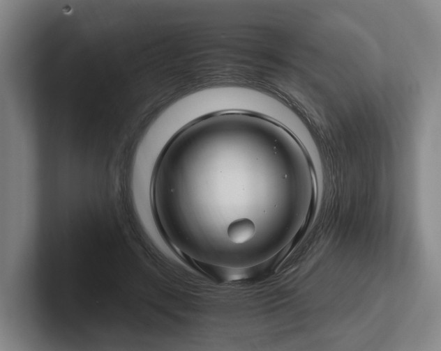 X0000101960547200807251156