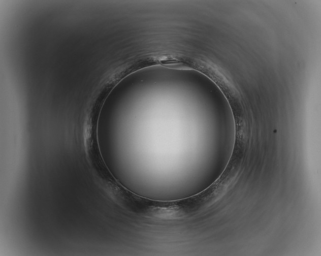 X0000101960548200807251156