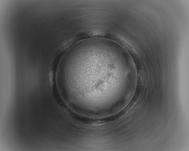 X0000101960550200807251156