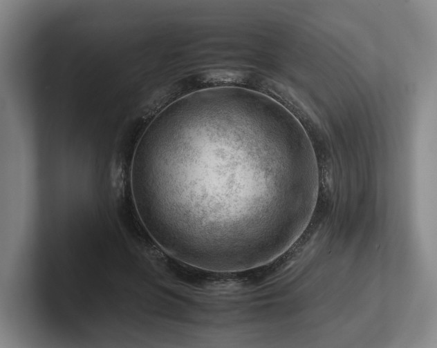 X0000101960551200807251156