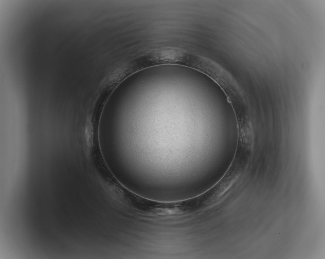 X0000101960552200807251156