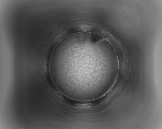 X0000101960553200807251156