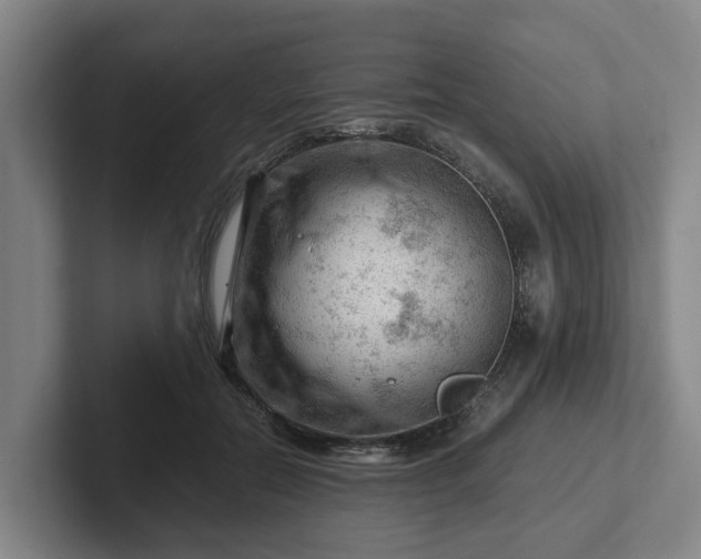 X0000101960554200807251156