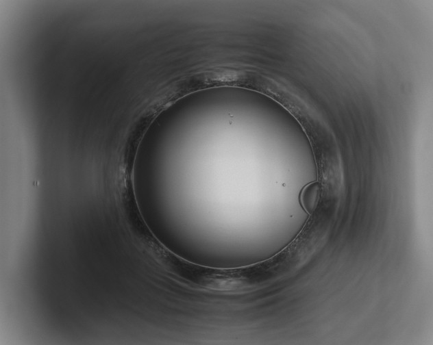 X0000101960555200807251157