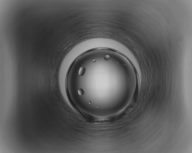 X0000101960556200807251157