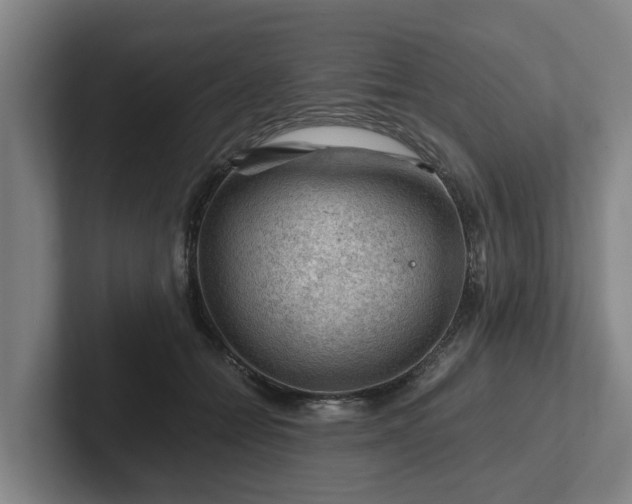 X0000101960558200807251157