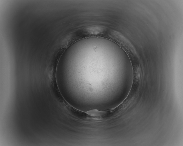 X0000101960559200807251157