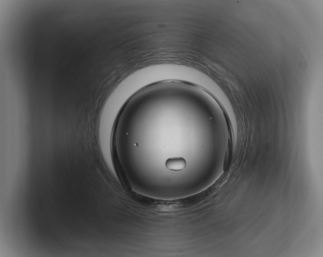 X0000101960560200807251157