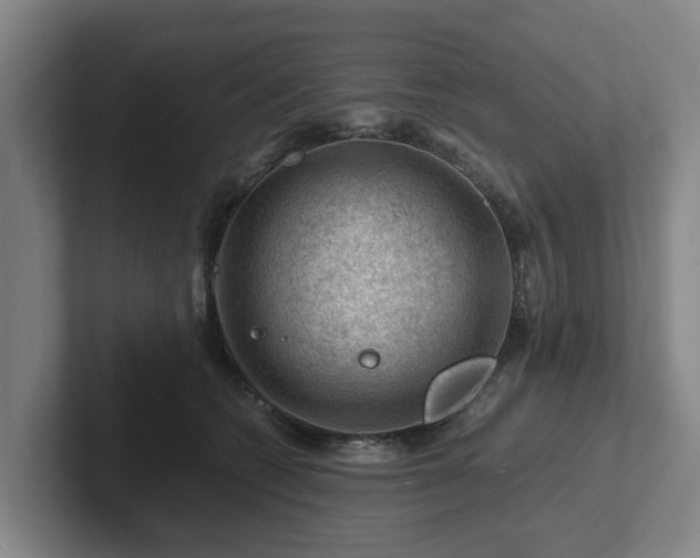 X0000101960562200807251157