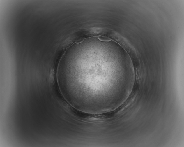 X0000101960563200807251157