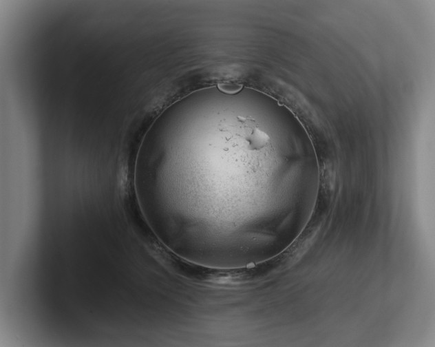 X0000101960564200807251157