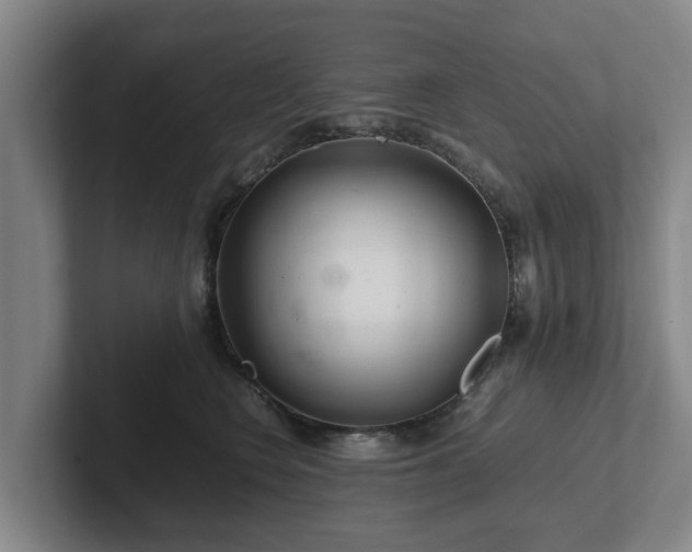 X0000101960566200807251157