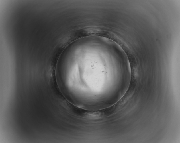 X0000101960567200807251157