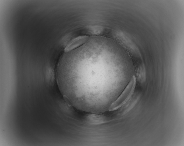 X0000101960568200807251157